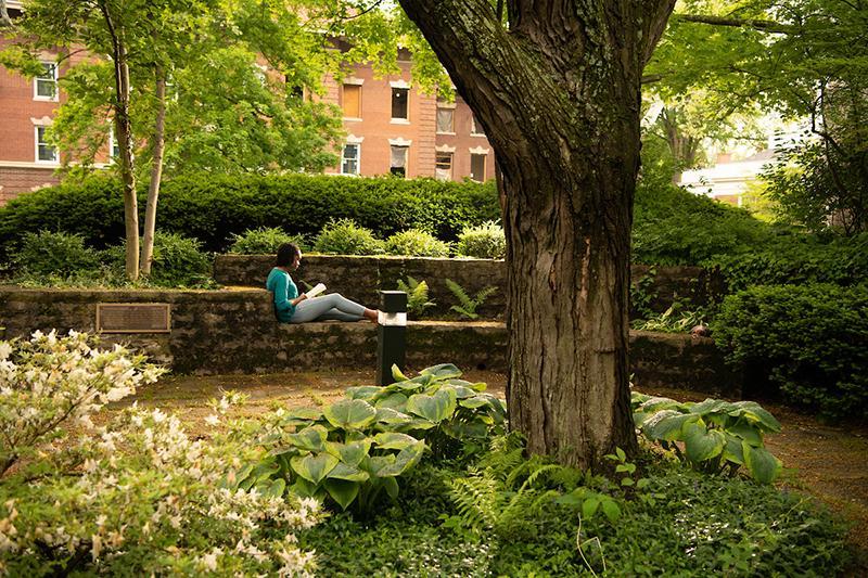 一个学生坐在Wolfe花园学习，周围是郁郁葱葱的绿色植物和景观