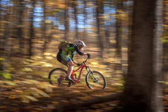 一名男子骑着自行车穿过韦恩国家森林